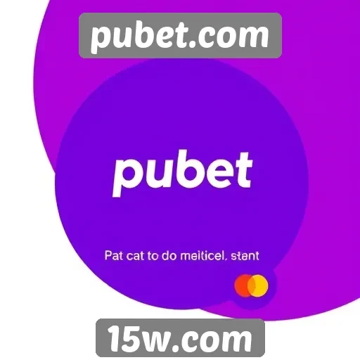 Métodos de pagamento aceitos no pubet.com
